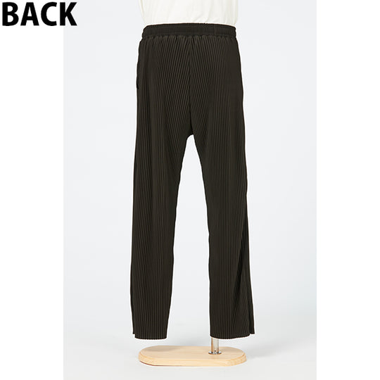 Pleats Pants (Men's) / Beige